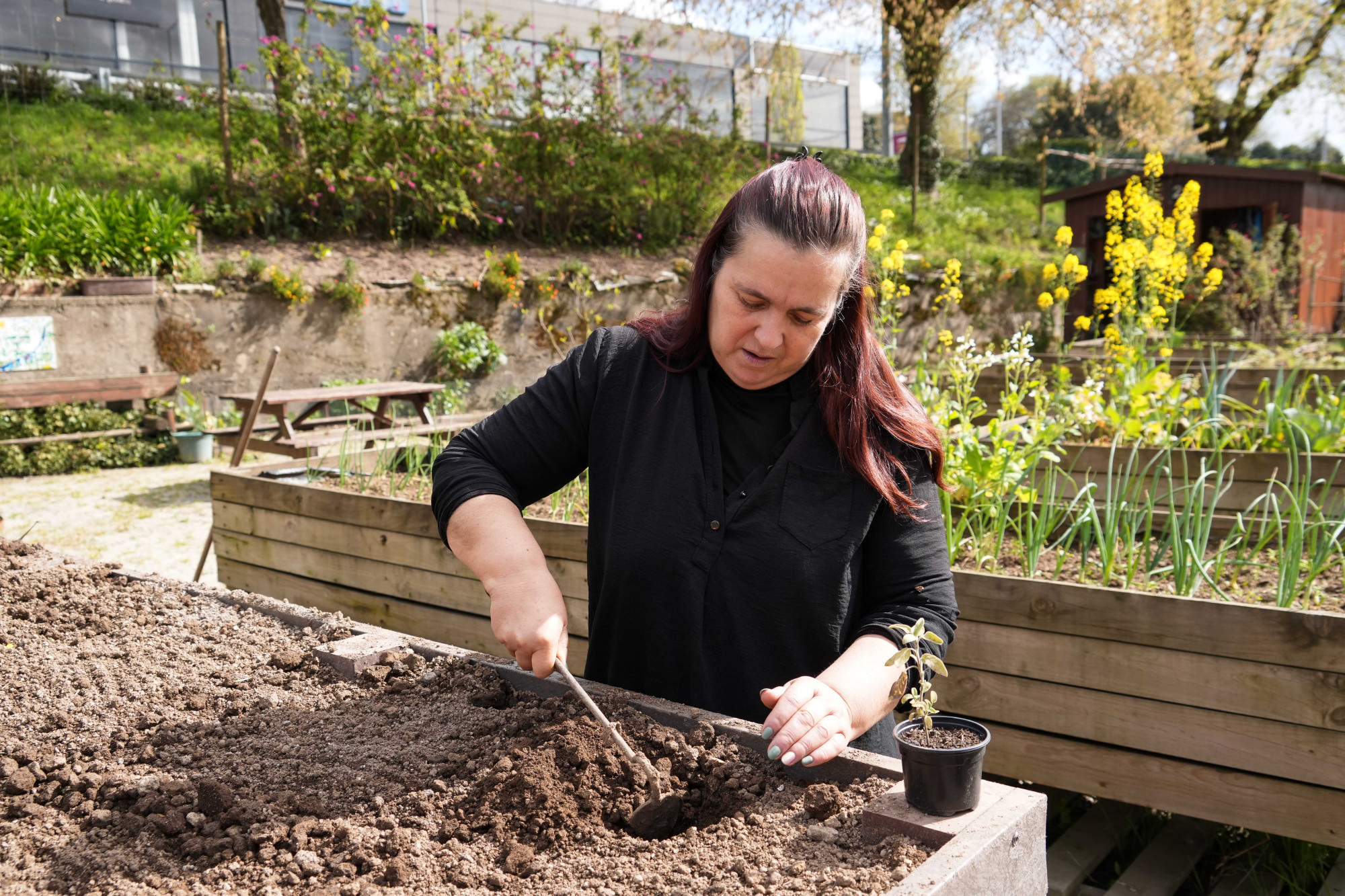 Nas Hortas Urbanas de Famalicão, a terra é um remédio para a alma